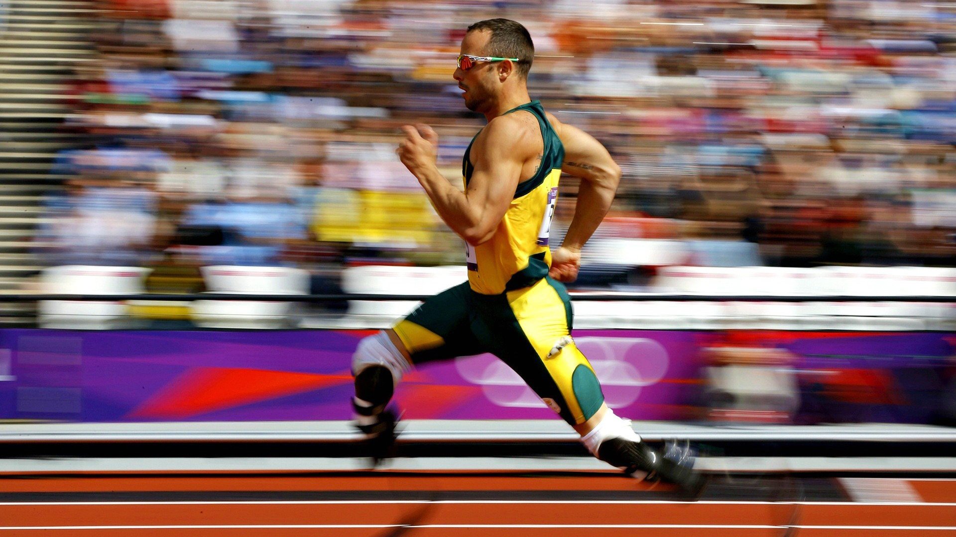 澳网2024，新星闪耀与传奇续写，纳达尔伤退引发热议