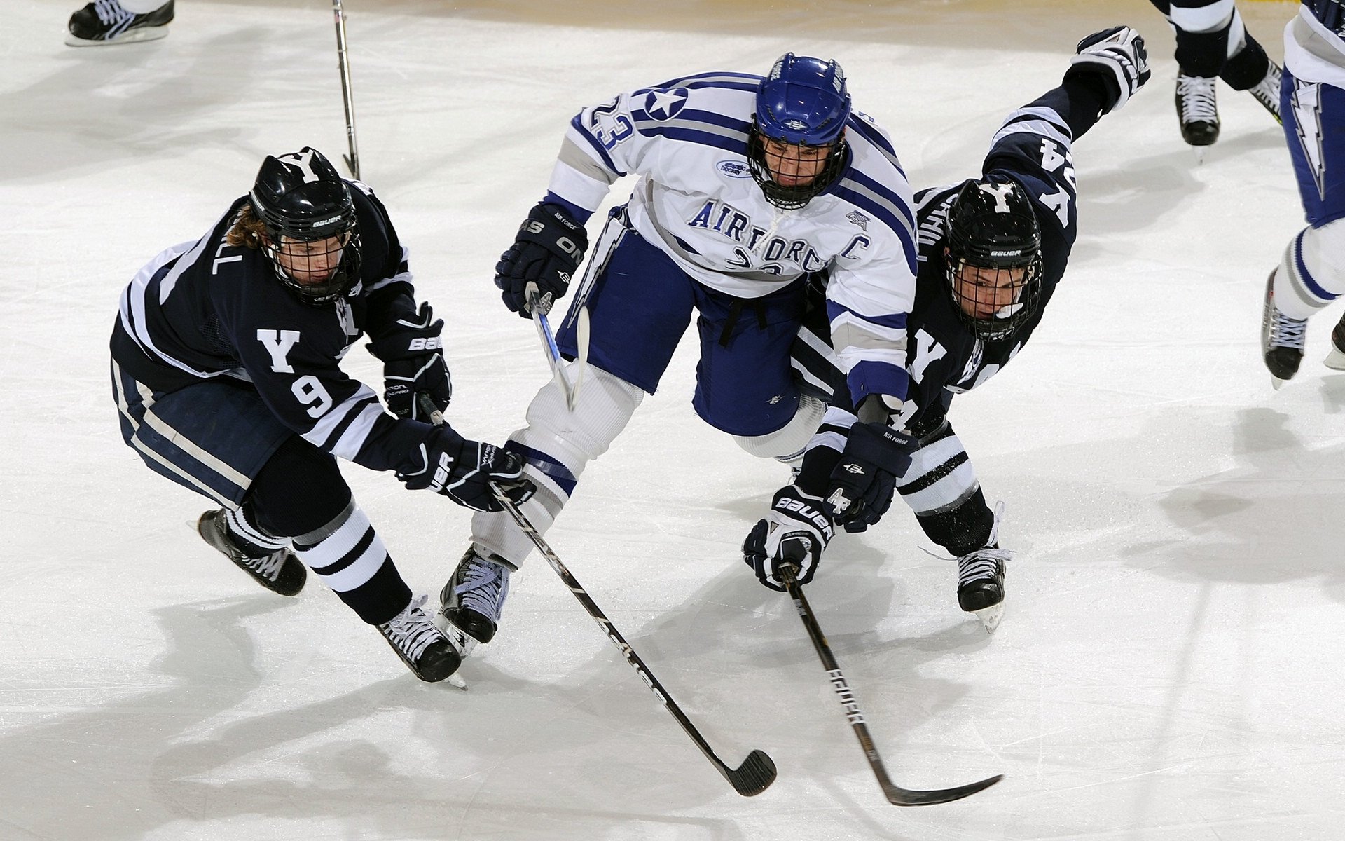 激情与传承,全球球迷文化如何塑造现代体育精神